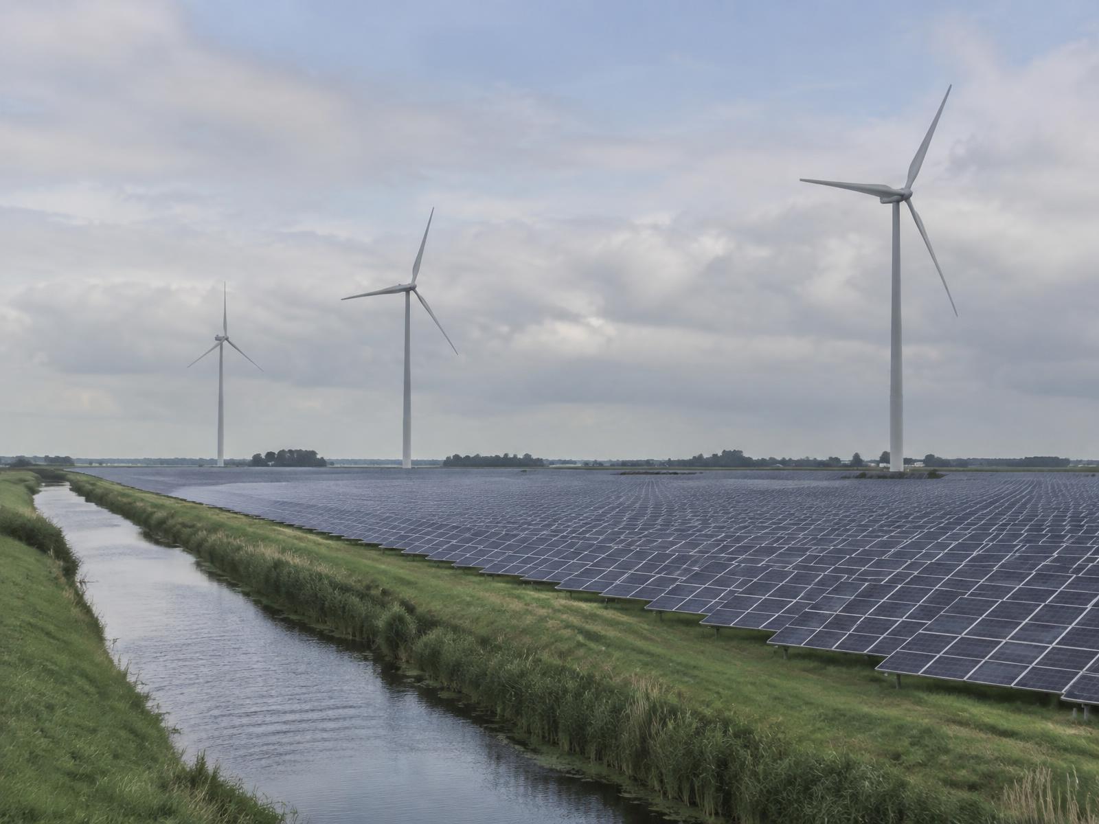 Nieuwe initiatieven in een bestaand gebied